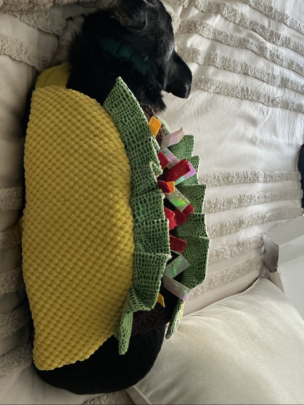 Source Unknown Yellow and Green Taco Plush Dog Toy